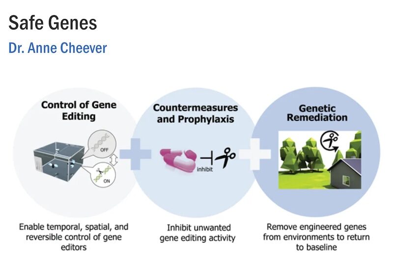 safe genes