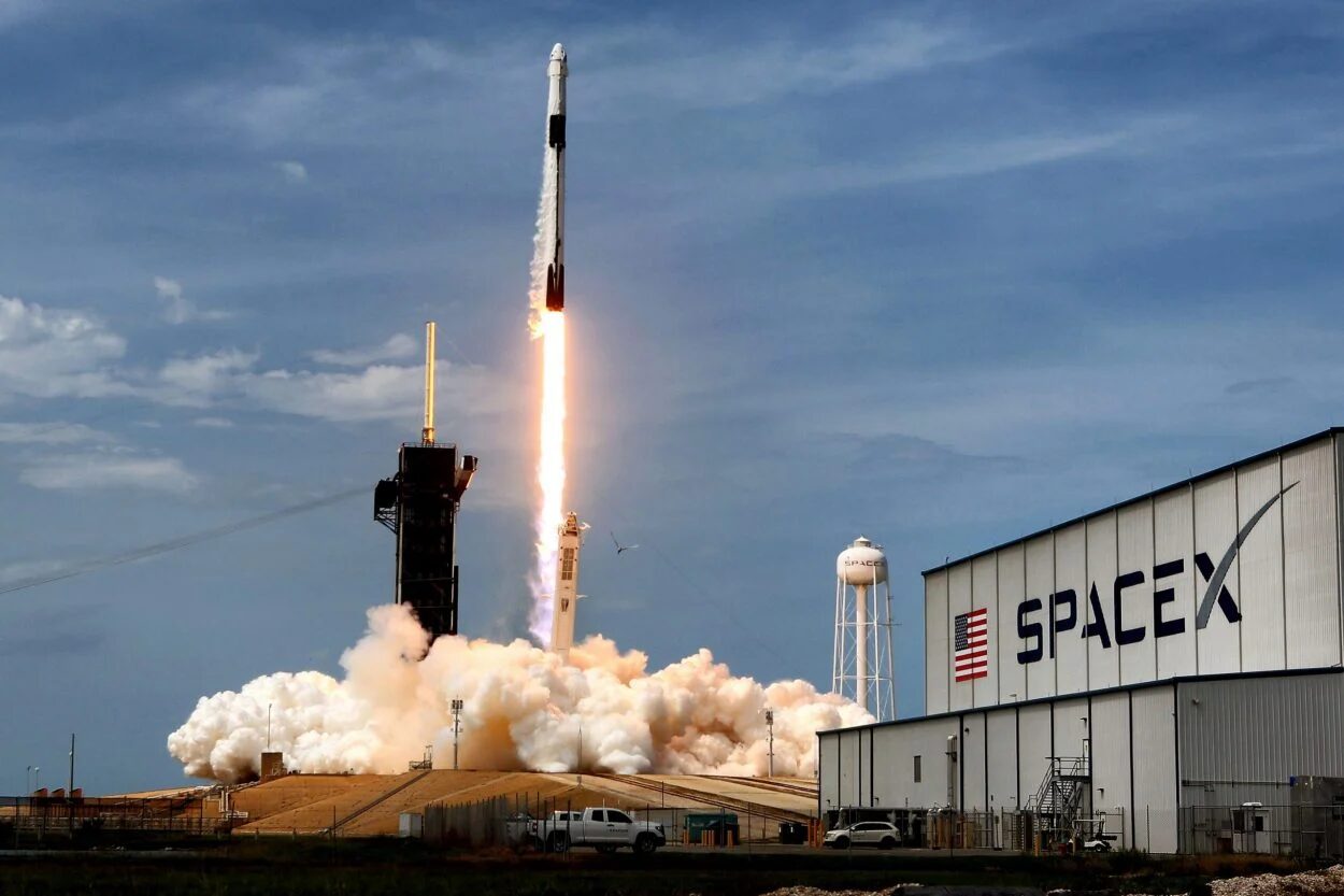 spaceX starlink