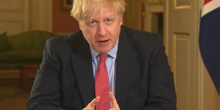 Click to enlarge bojo