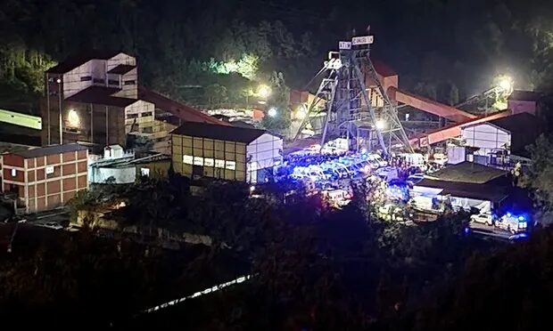Click to enlarge coal mine turkey