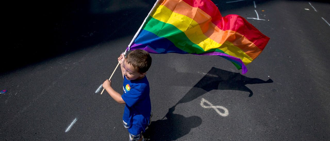 Click to enlarge child, pride flag, rainbow flag,