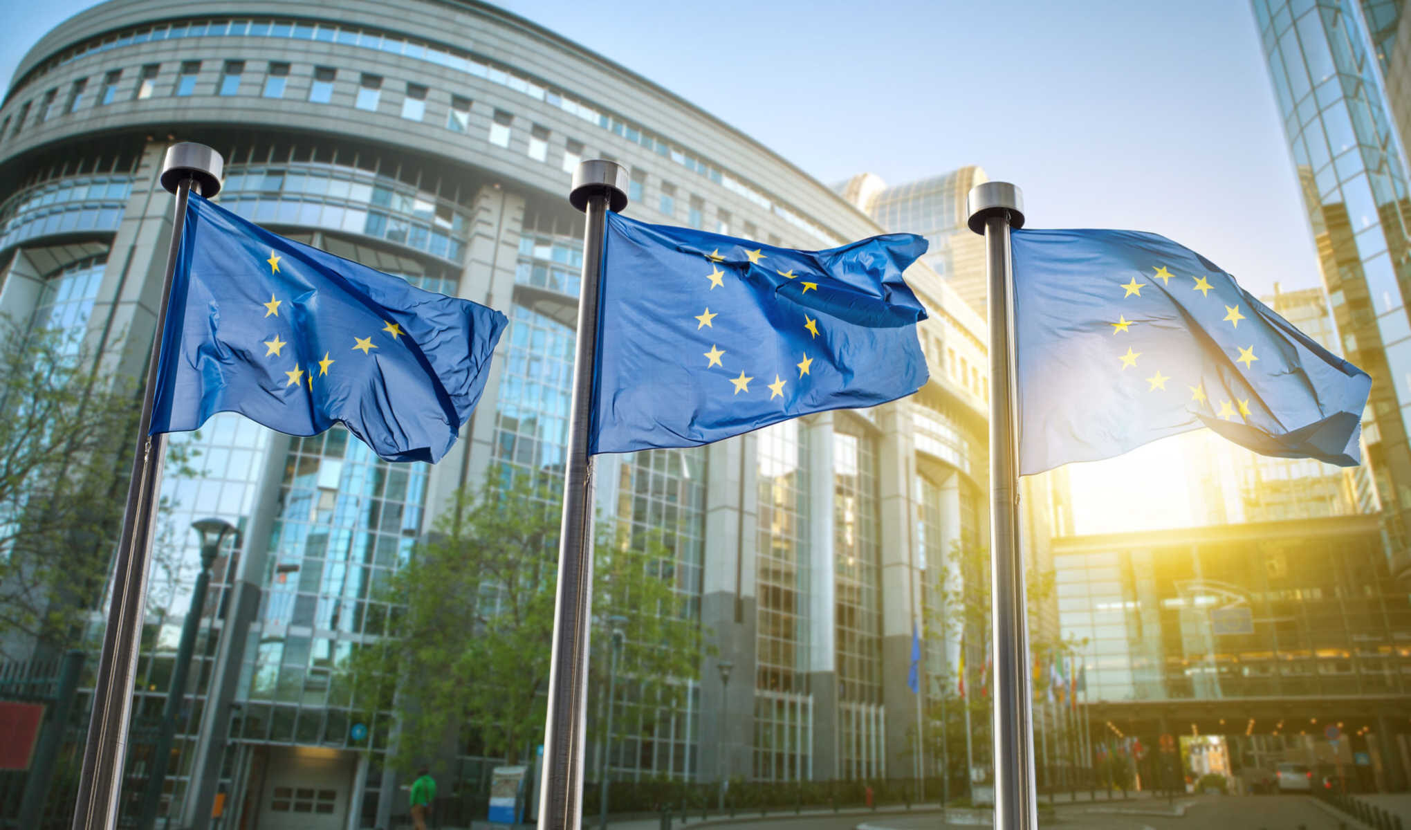 Click to enlarge European Union, EU, flag