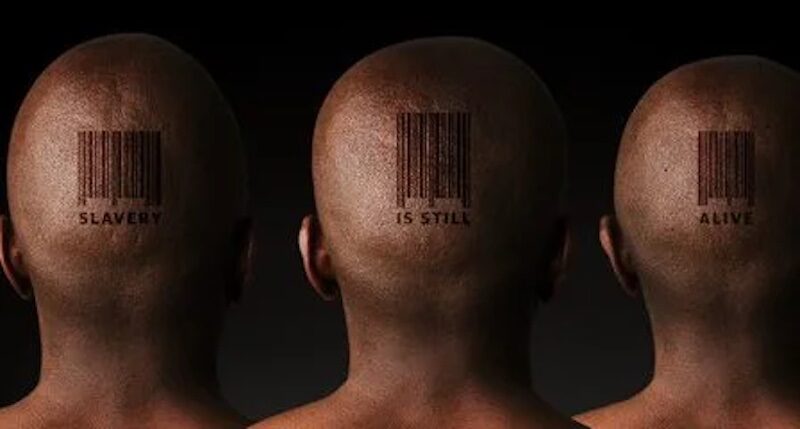 Click to enlarge human barcode