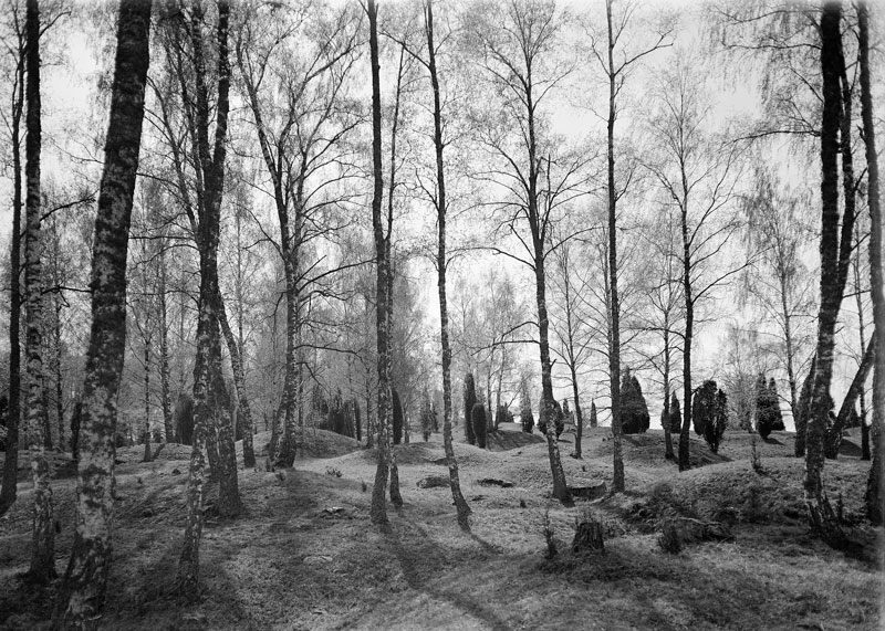 Viking Age grave field