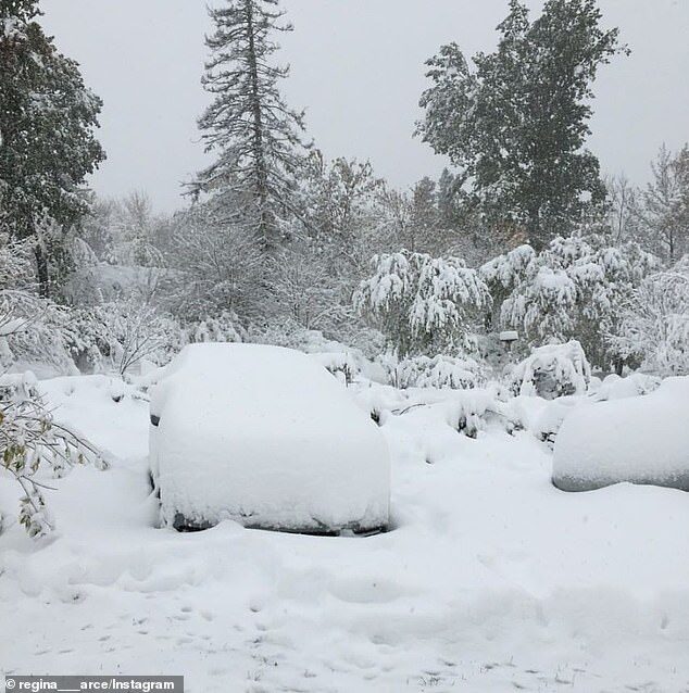Click to enlarge Photos and video footage taken overnight show the first snowfall in Michigan. The snowfall seen there, normally not expected for another few weeks, was largely fueled by the mild waters of the nearby lakes, creating a localized snow