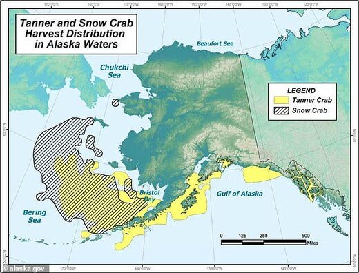7 BILLION crabs 'disappear' from Bering Straits in last 4 years, industry faces ruin with shortages & price increases already occuring