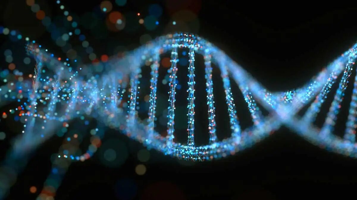 DNA Strand