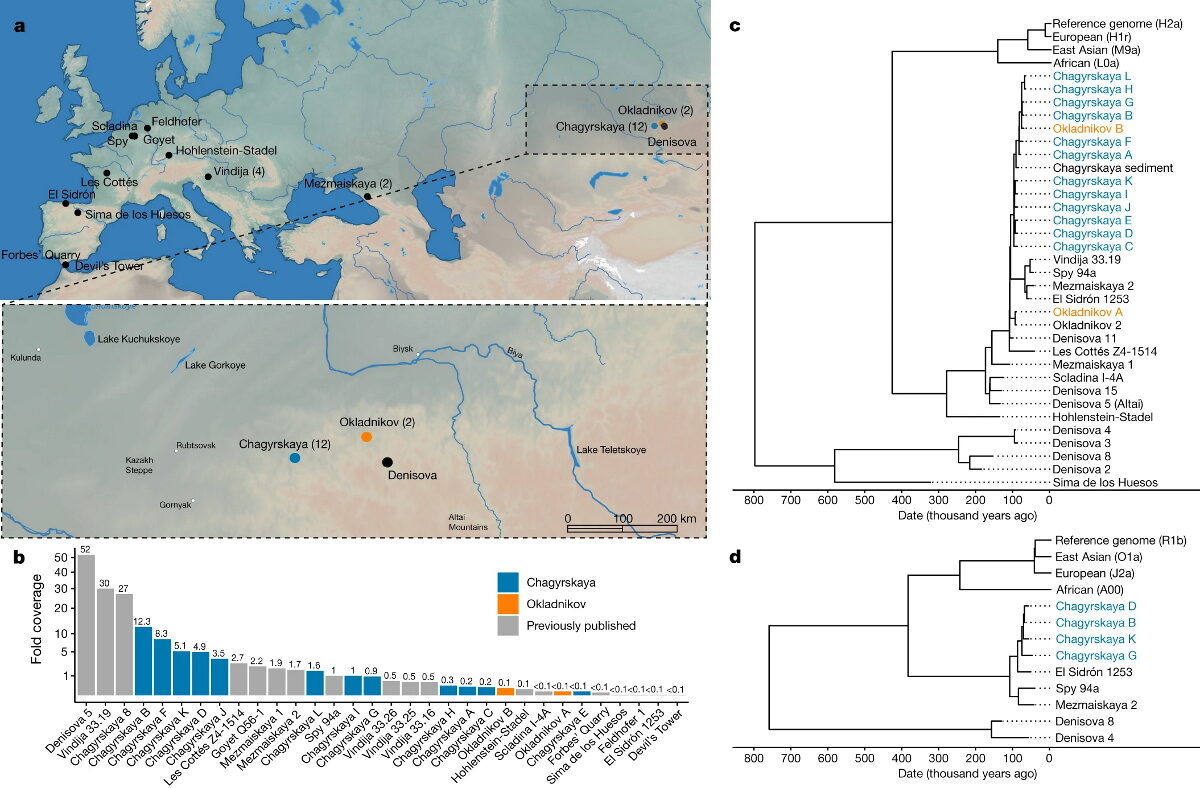neanderthal caves siberia
