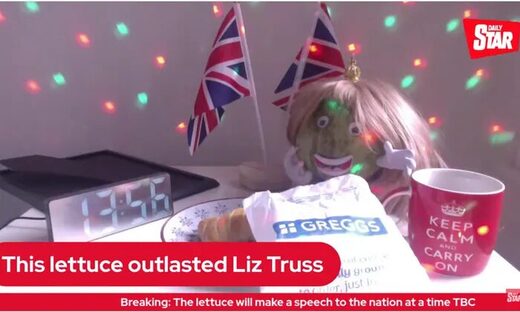 lettuce in blond wig