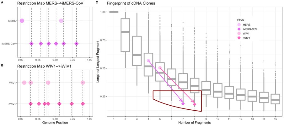 covid study