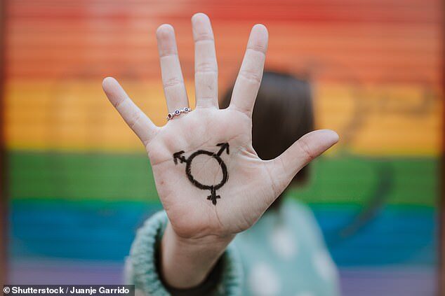 transgender, pride flag