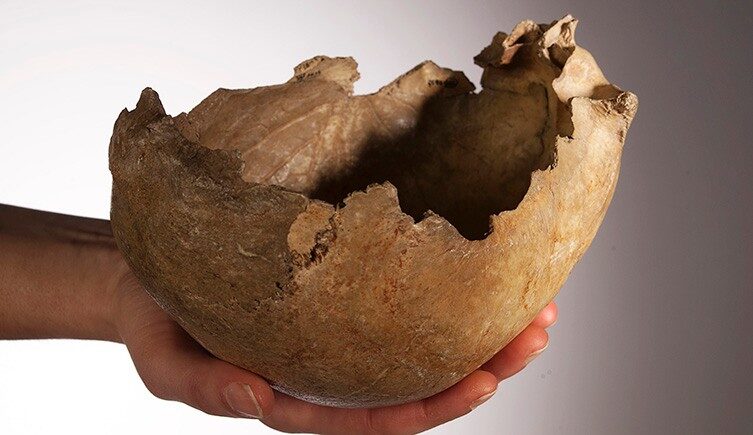 Skull Cup