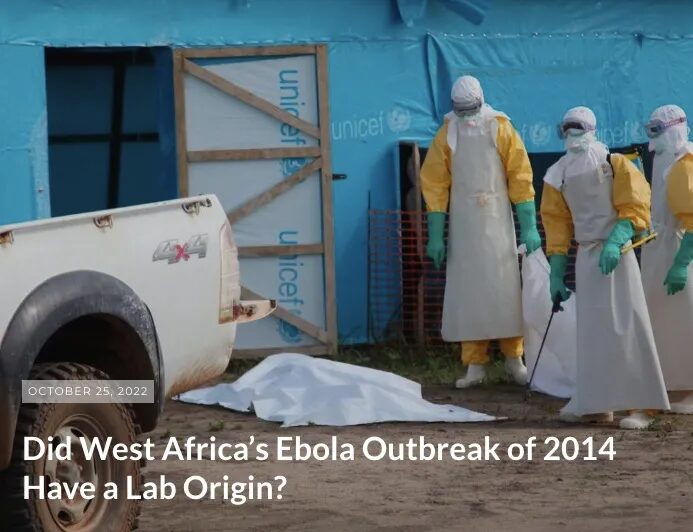 Click to enlarge ebola africa covid