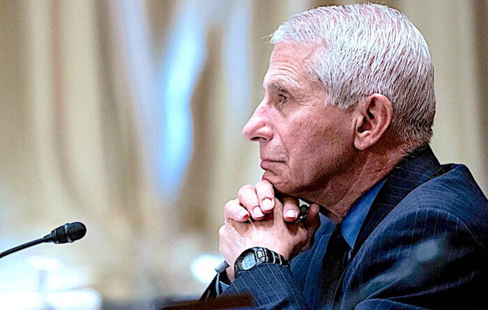 Fauci
