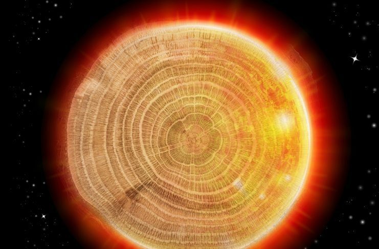 Tree Rings