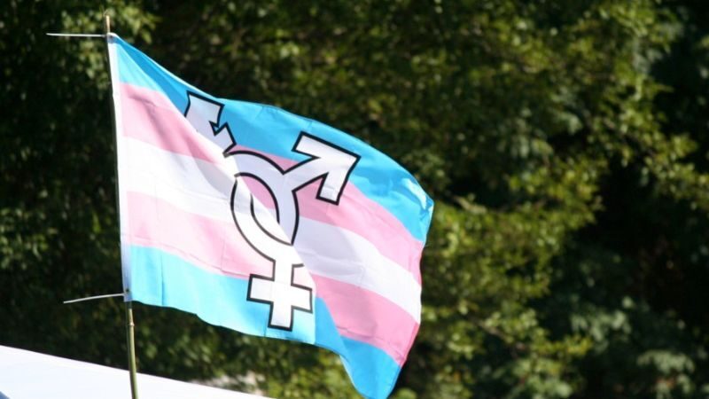 trans flag