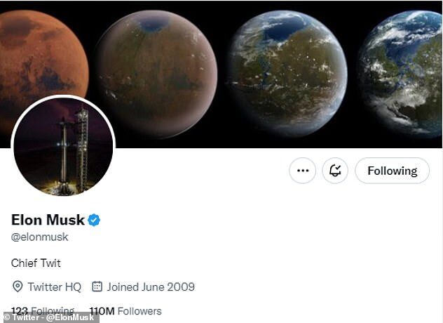 musk new twitter profile