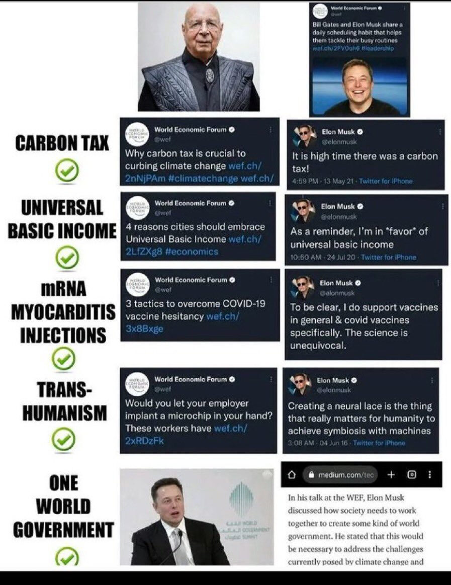 WEF and Musk