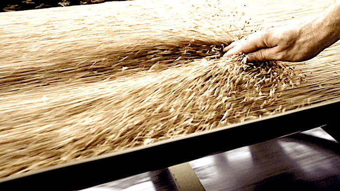 grain