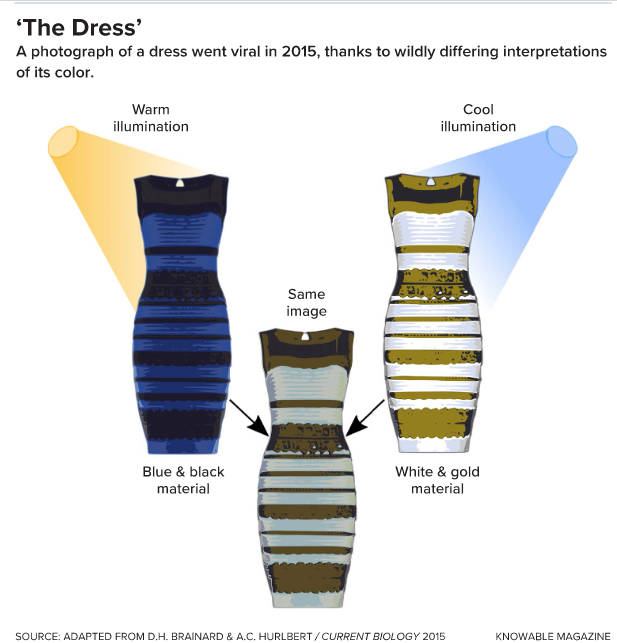 The Dress
