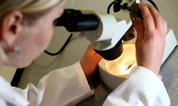 laboratory microscope