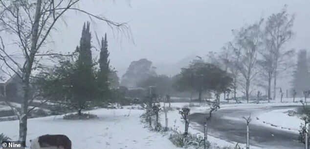 Icy gusts have lashed the east coast and snow is dumping just outside of Sydney