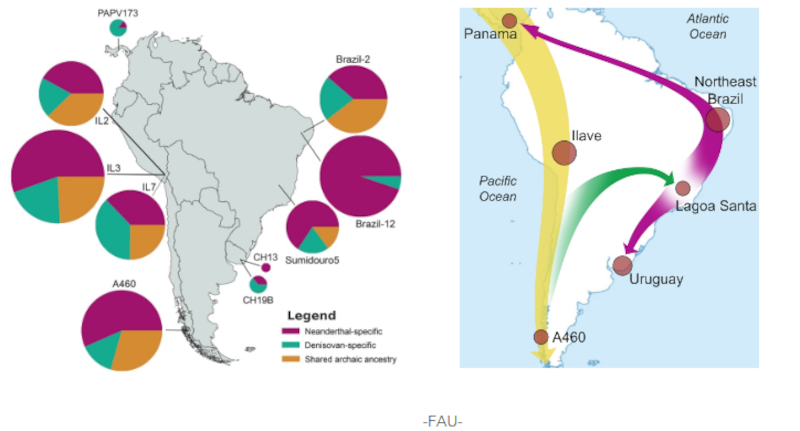 Click to enlarge Migration Map