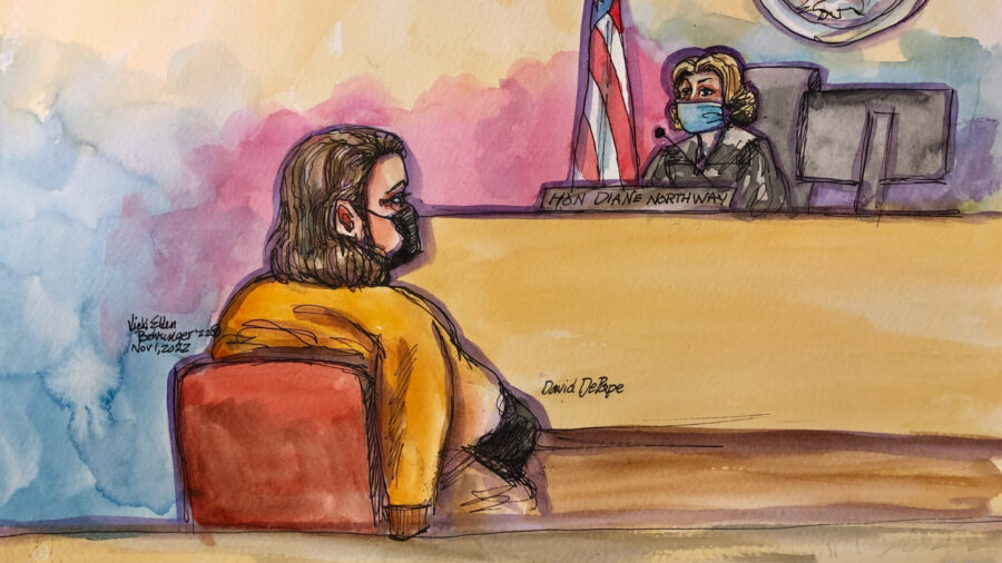 Click to enlarge david depape court hearing pelosi attack