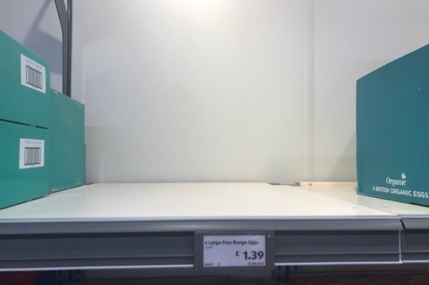 food shortage egg bare shelves