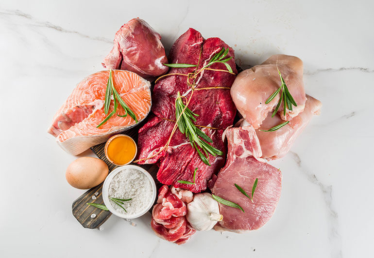 Carnivore Diet