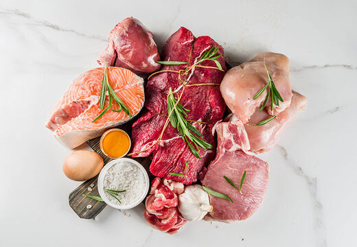 Carnivore Diet