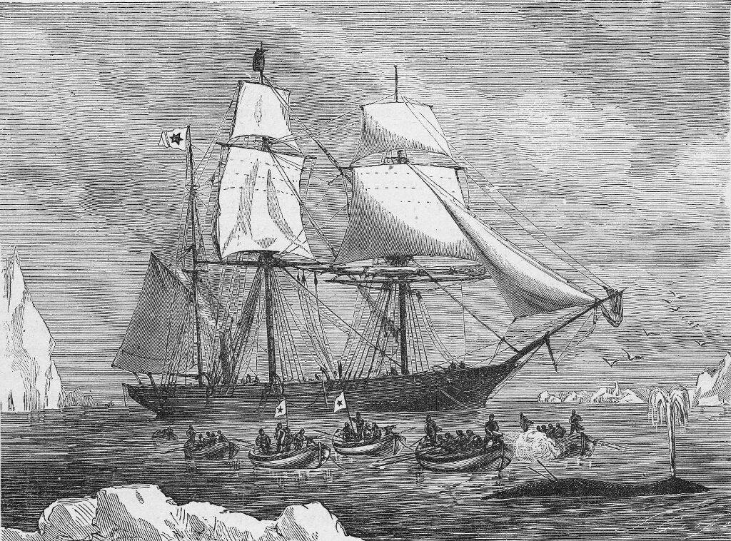 engraving whaling ship