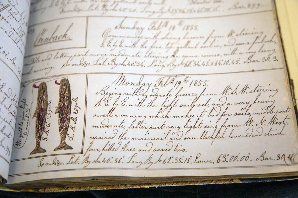 whaling ship logbook