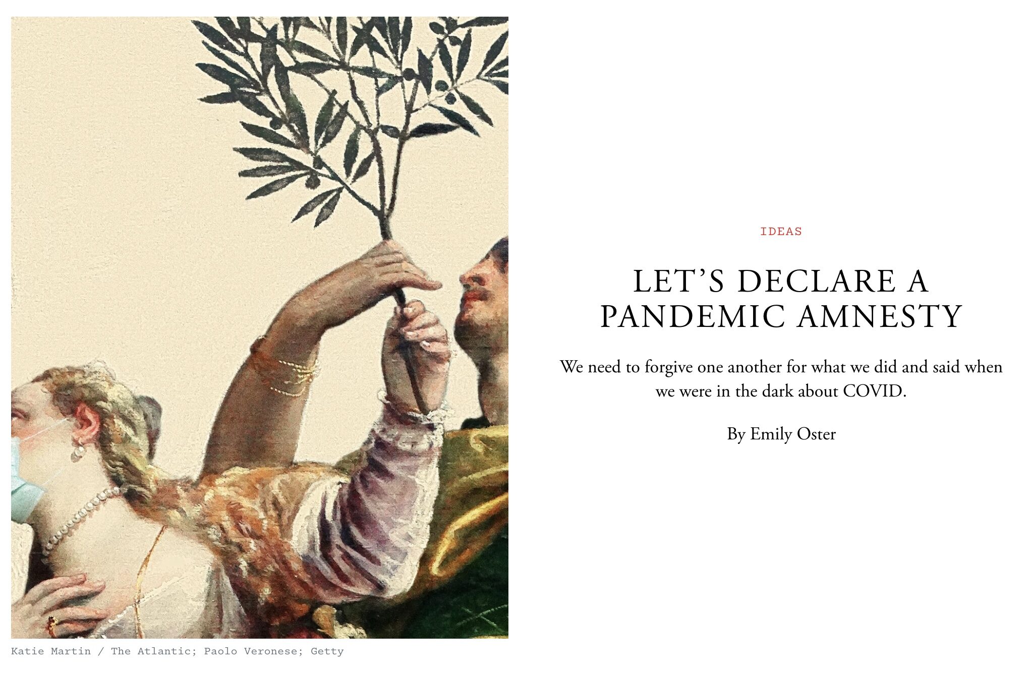 pandemic amnesty