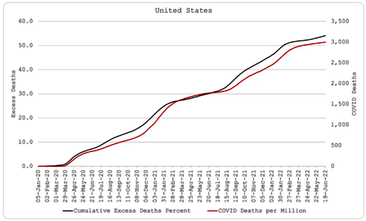 united states cumulative excess deaths vs Covid deaths