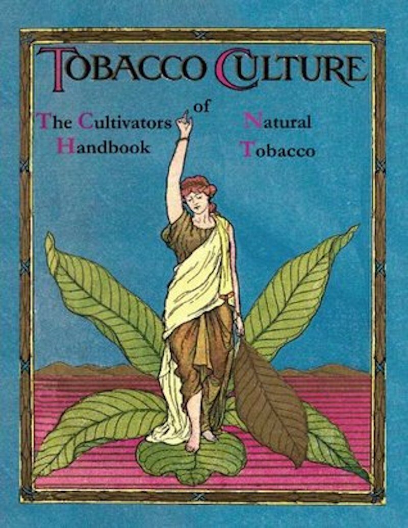 tobacco culture