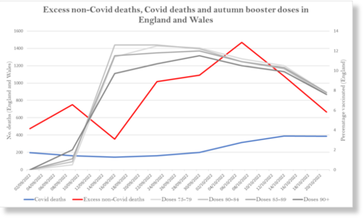 excess mortality