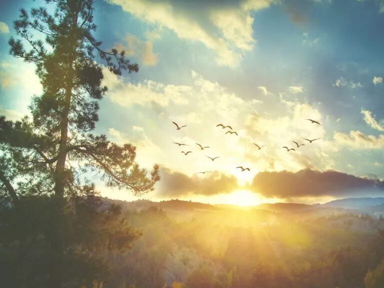 sunrise