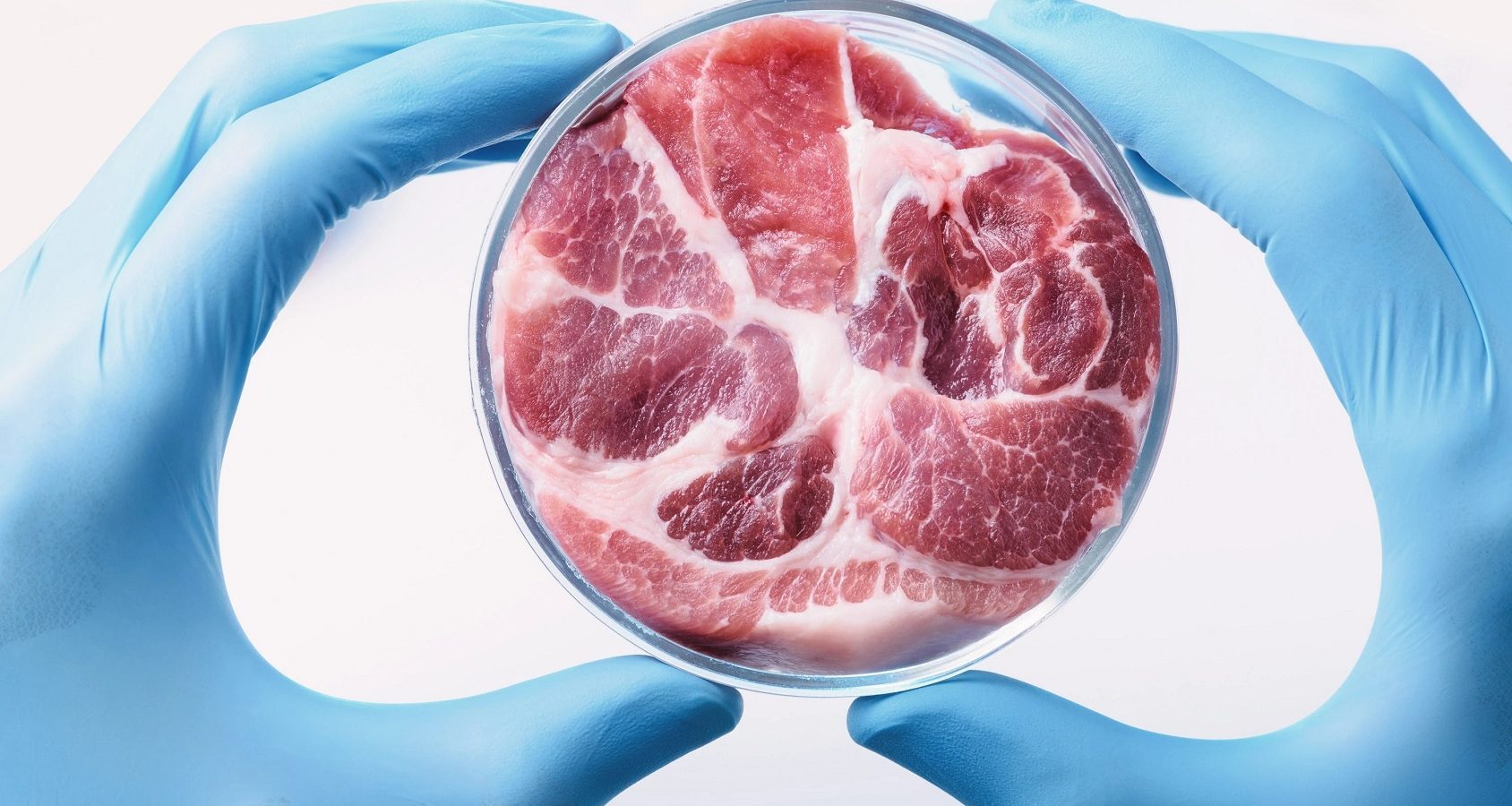 Click to enlarge Lab Grown Meat