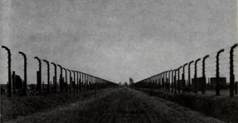 Click to enlarge The Road to Totalitarianism