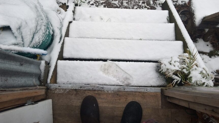 Wombaticus Reeves had to be careful on the steps this morning near Vinces Saddle.