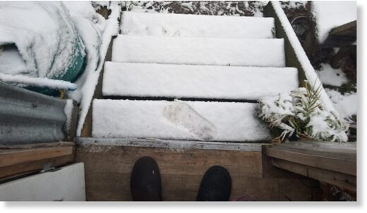 Wombaticus Reeves had to be careful on the steps this morning near Vinces Saddle.