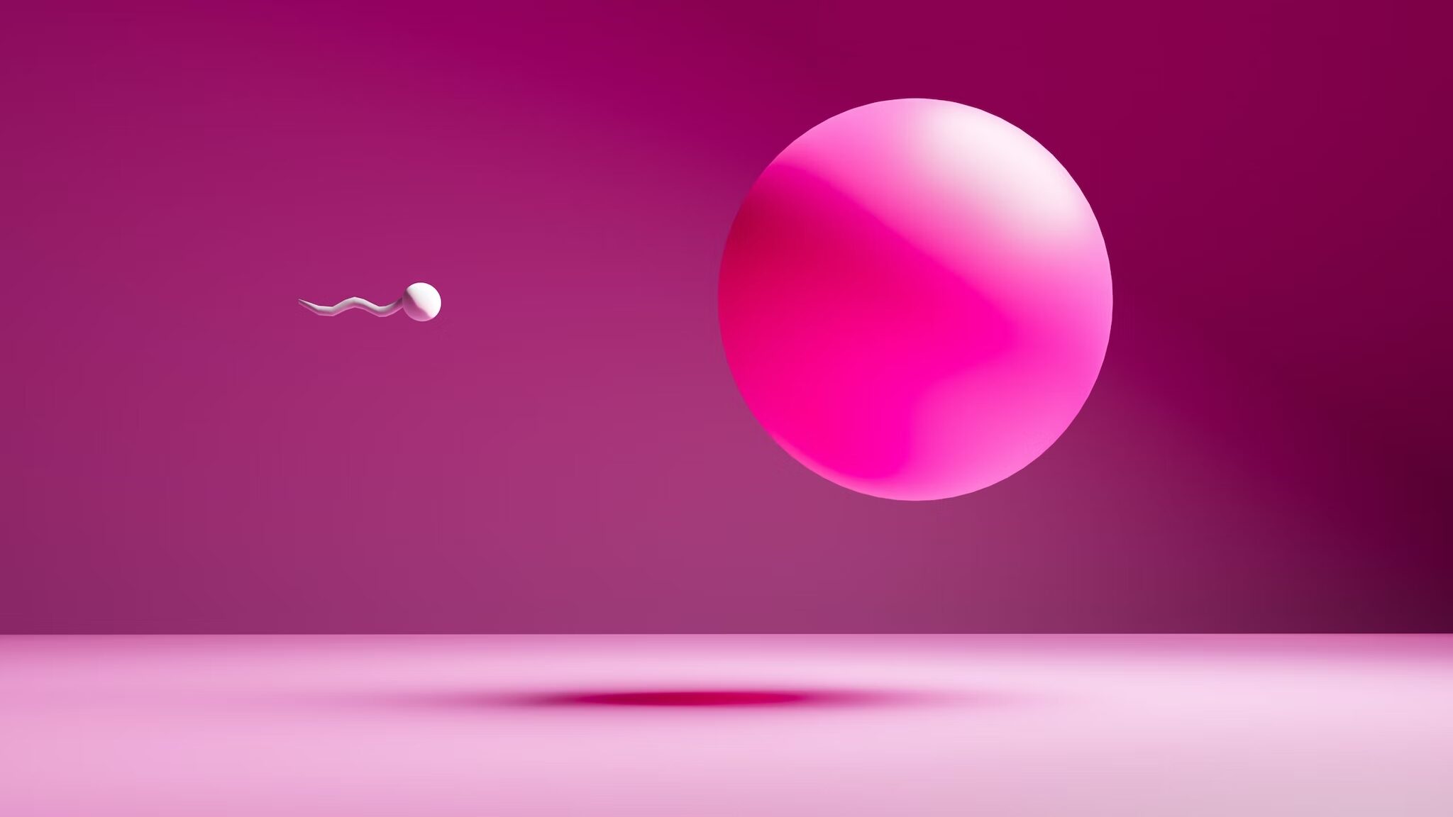 sperm egg graphic