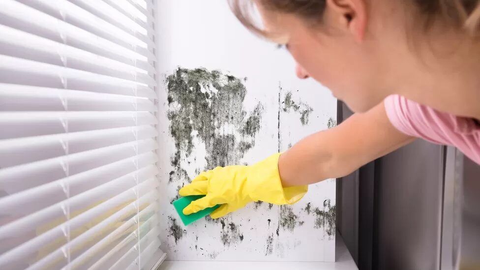 scrubbing mold mould