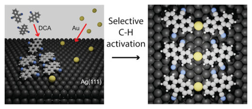 Gold and Organic Atoms