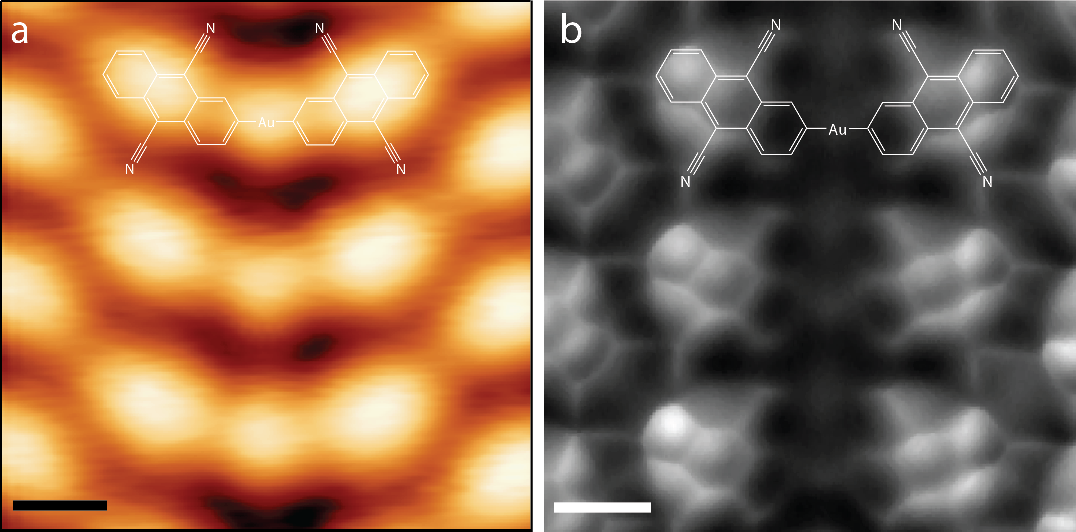Enlarge Atoms