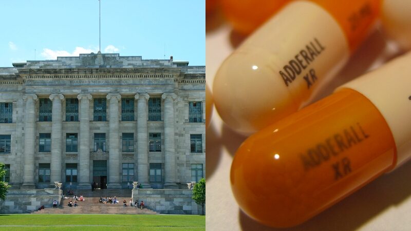 harvard adderall