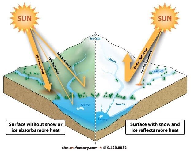 The effects of snow cover on temperature