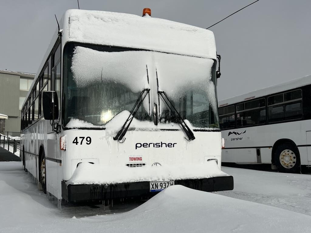 The latest powder dump takes the total to an eye-popping 42cm of snow over the past week.
