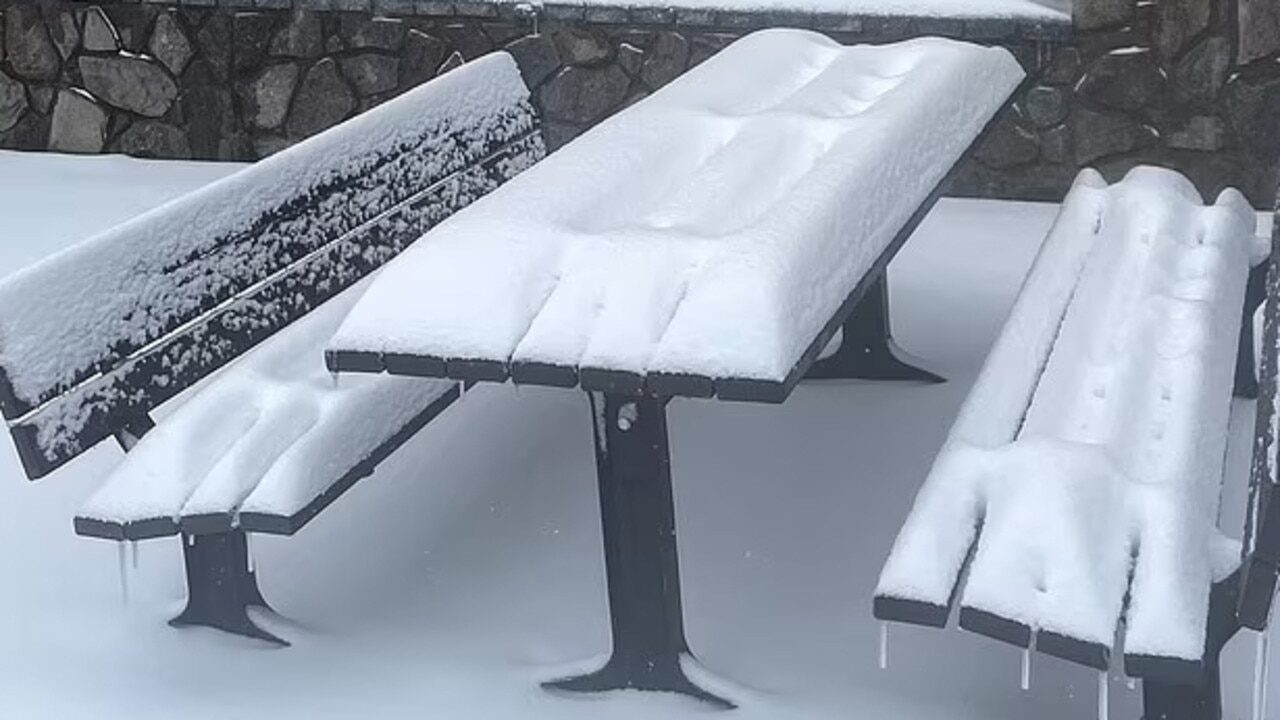 Mt Buller ski resort received nearly 20cm of snow overnight